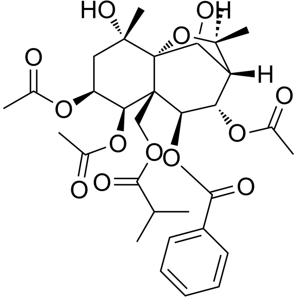Celangulatin C 1000784-44-0